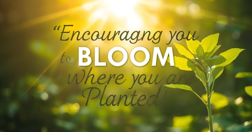 40 Bible Verses Encouraging You to Bloom Where You Are Planted